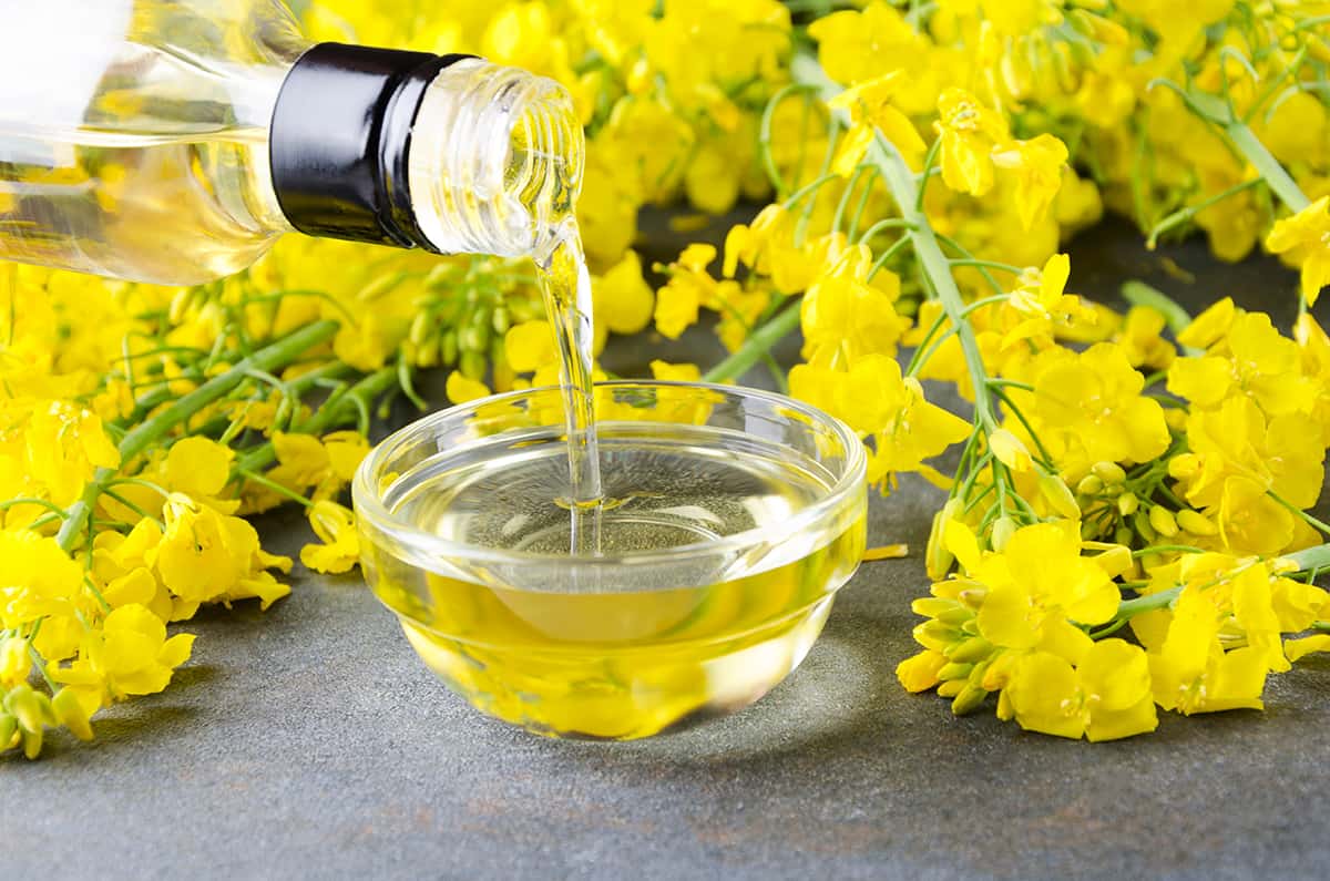 Canola Oil