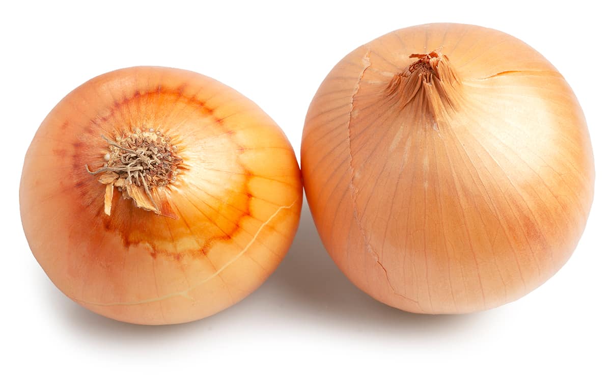 Onion Sizes