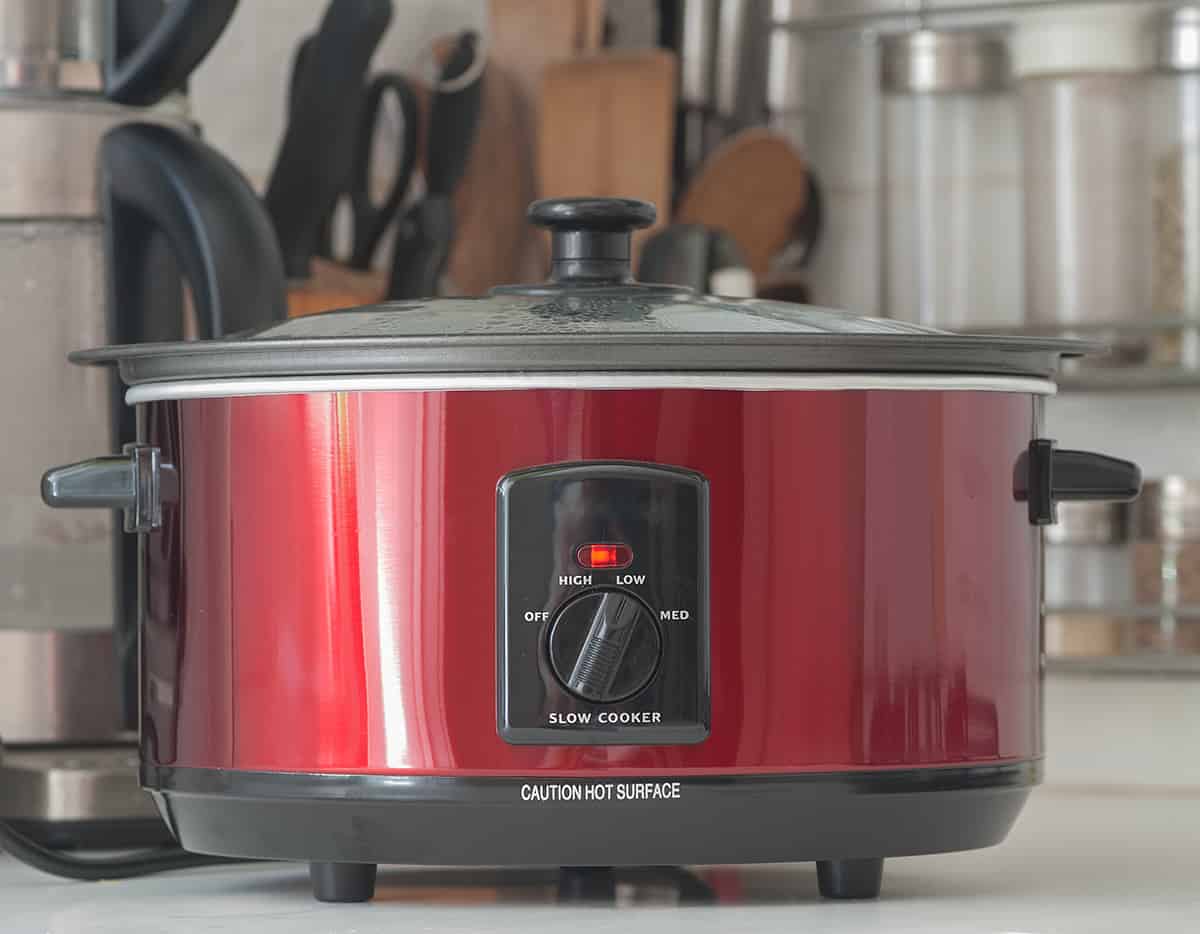 Collega Lelie Reageren Can I Sous Vide in a Slow Cooker? - HowdyKitchen