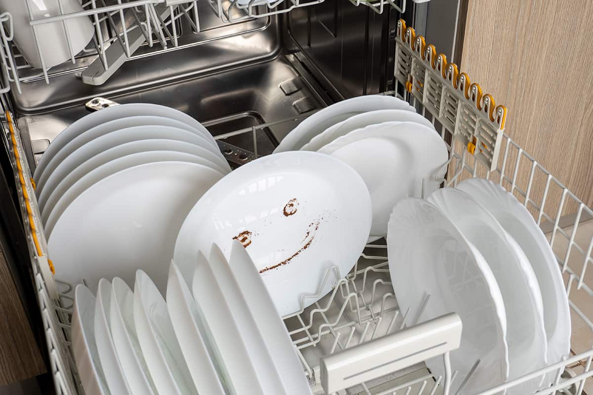 Additional Electrolux Dishwasher Problems After Reset