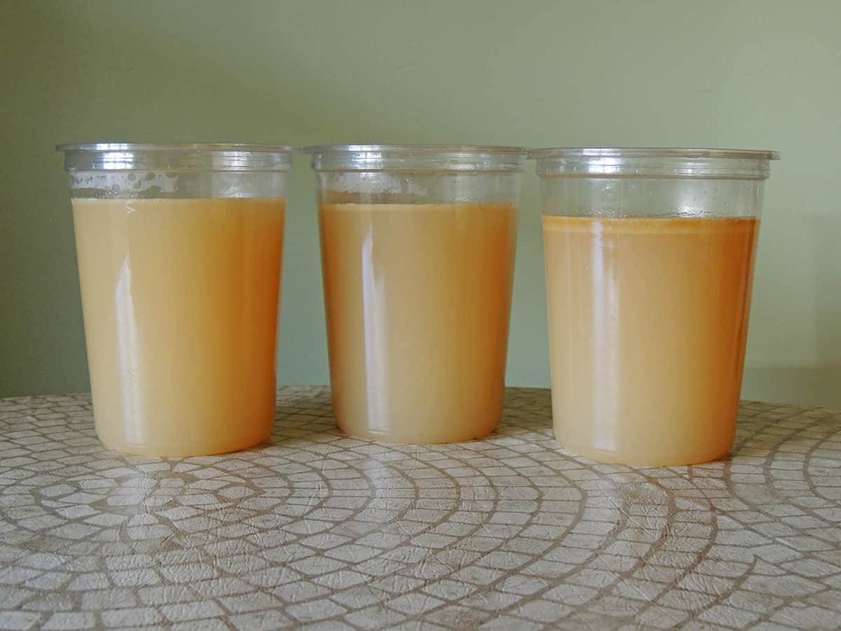 How to Freeze Chicken Broth