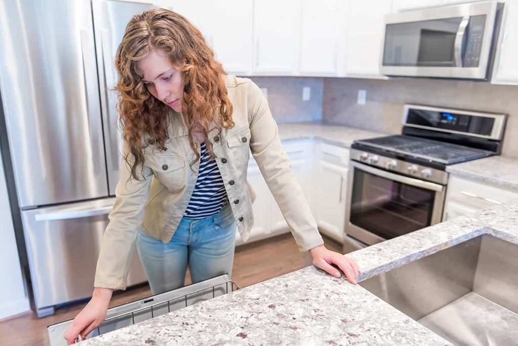 Should You Keep A Dishwasher Door Open When You’re Away? HowdyKitchen