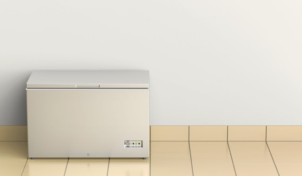 Can You Transport A Freezer On Its Side HowdyKitchen