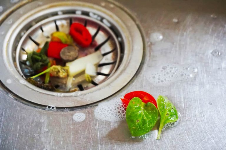 How Long Should You Run the Garbage Disposal? HowdyKitchen