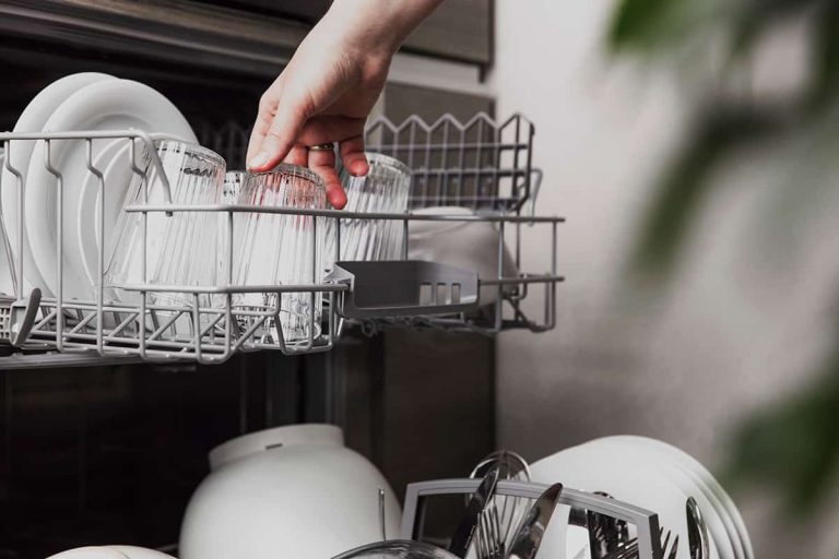 How Old is My Dishwasher (How to Tell)? HowdyKitchen