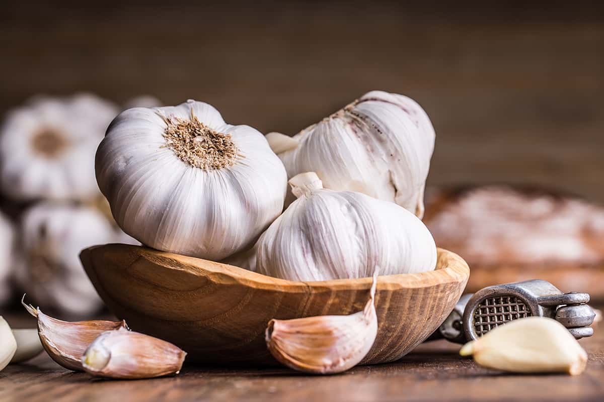 Most Commonly Used Types of Garlic