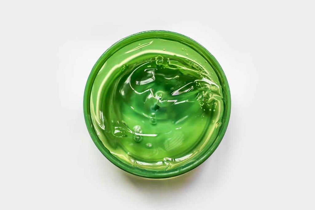 Can You Freeze Aloe Vera Gel? HowdyKitchen