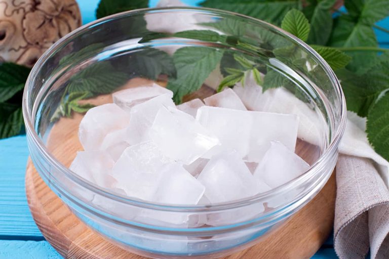 Can You Put Ice in a Food Processor? HowdyKitchen