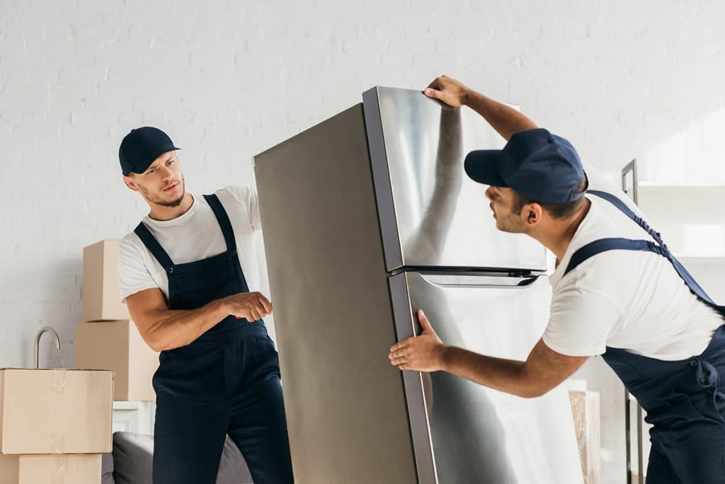 Should You Defrost the Fridge Before Moving? HowdyKitchen