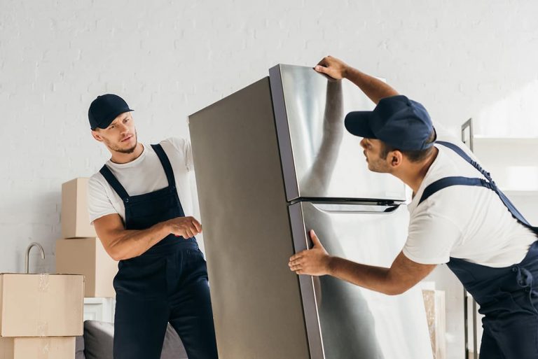 Should You Defrost the Fridge Before Moving? HowdyKitchen