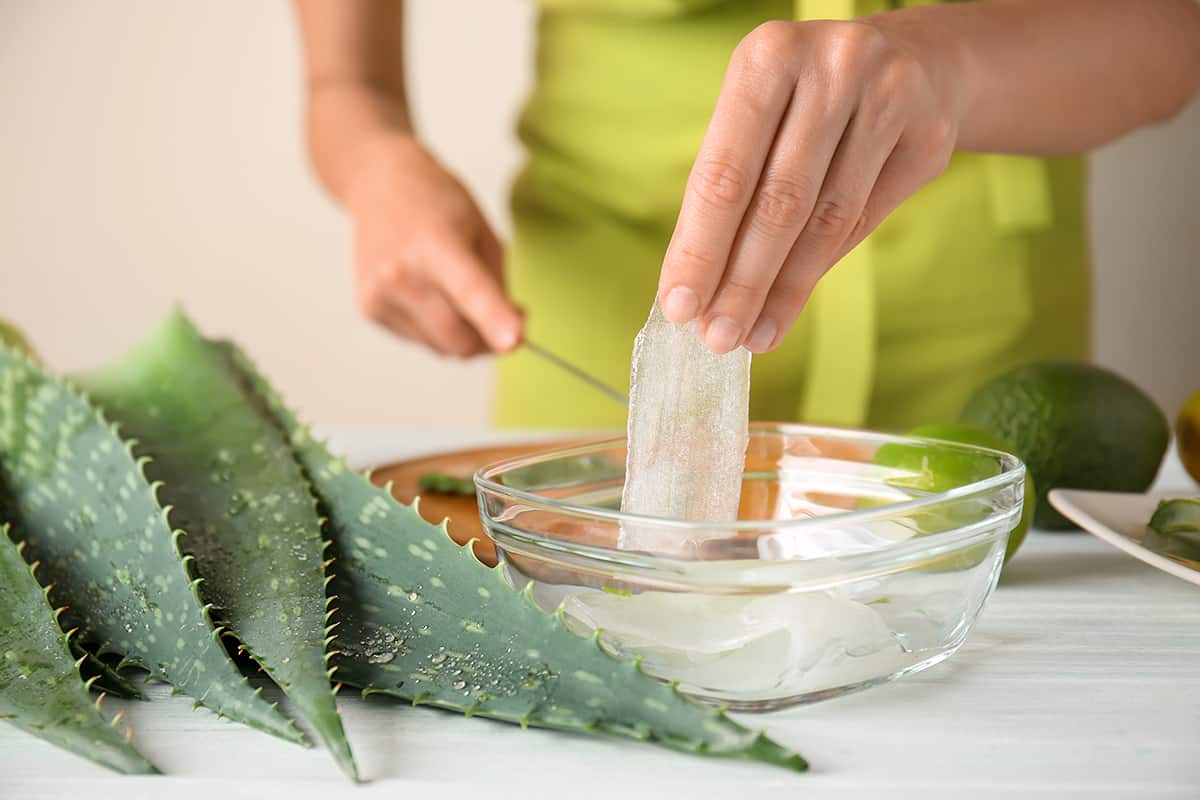 How to Store Aloe Vera Gel