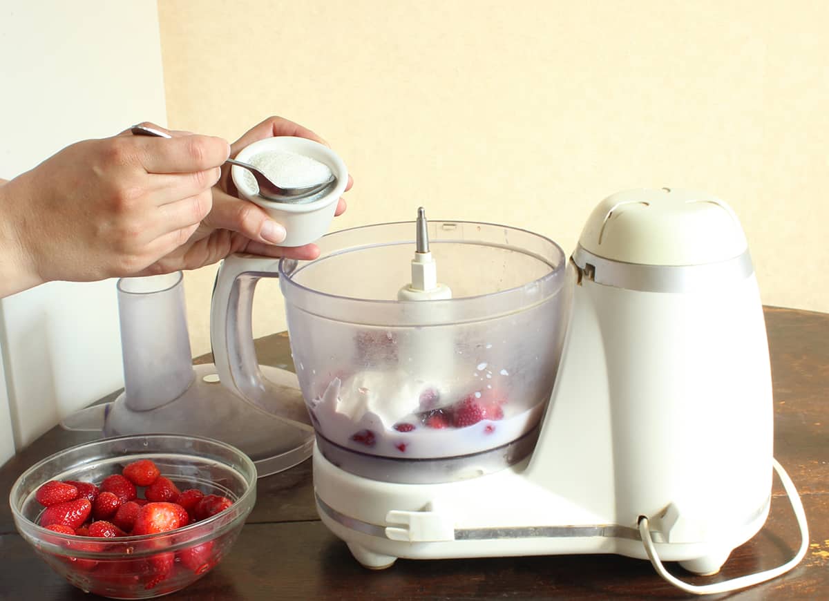 What Can a Food Processor Do
