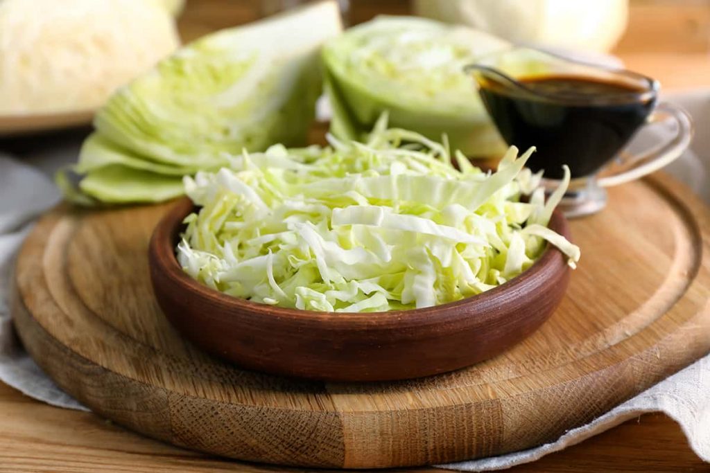 How to Shred Cabbage in A Food Processor HowdyKitchen