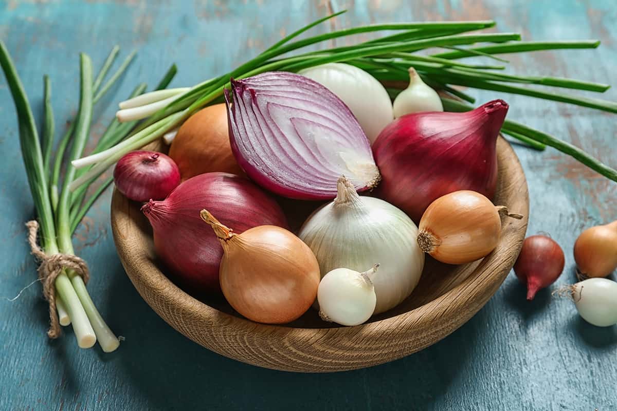 Onion Varieties