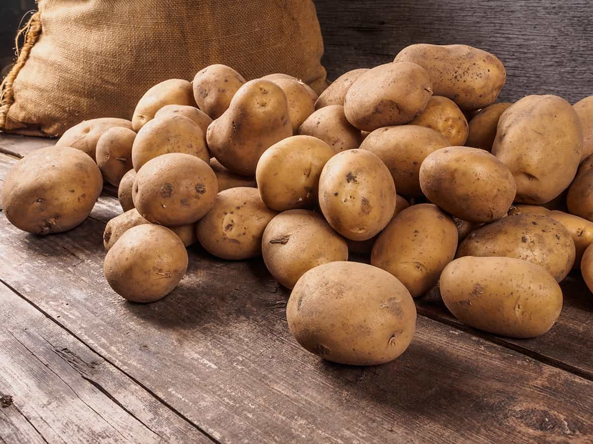 Best Potatoes for Fries