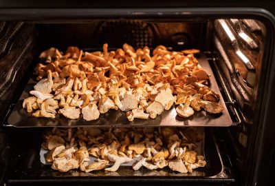 Can Oven Be Used as A Dehydrator