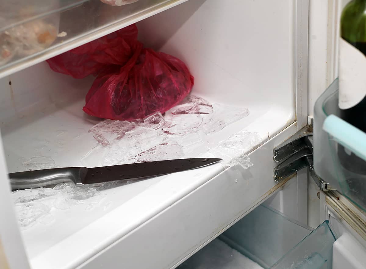 Defrost the freezer