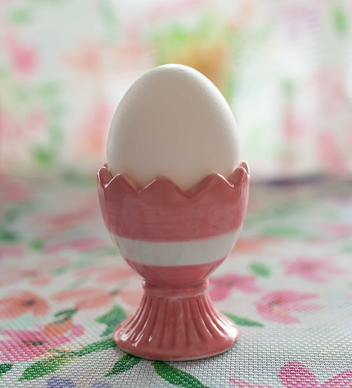 Egg Cup