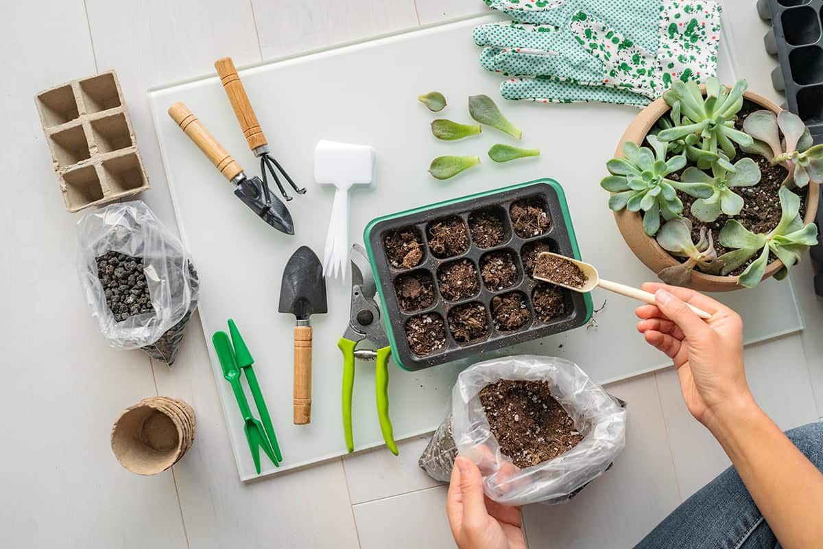 Clean garden tools