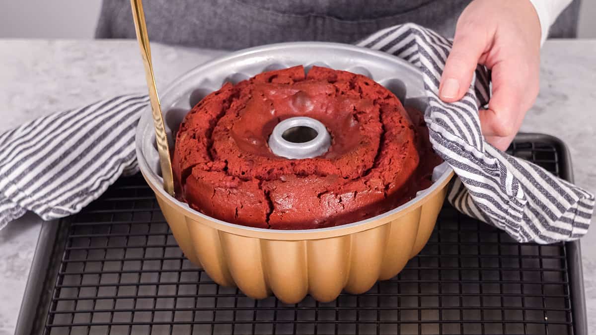 Common Reasons for Dry Bundt Cake