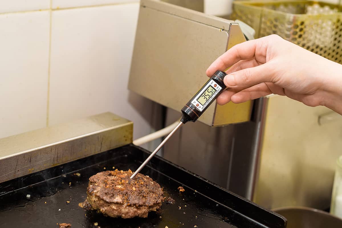 Using a Meat Thermometer