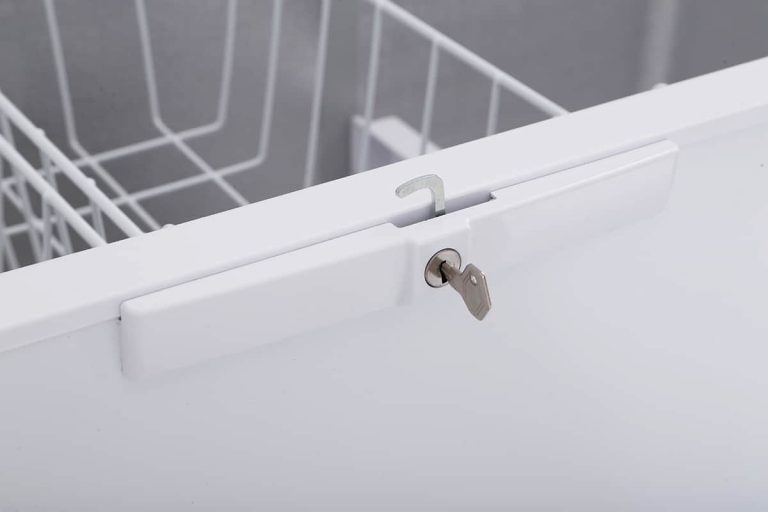 Freezer Making Buzzing Noise