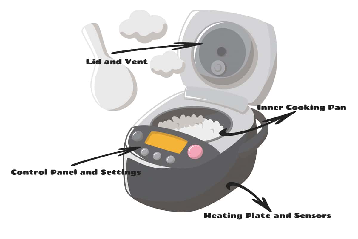 Components Of Rice Cooker