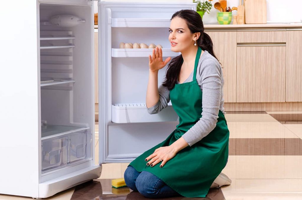 Refrigerator Smells Like Chemicals Causes & What to Do HowdyKitchen