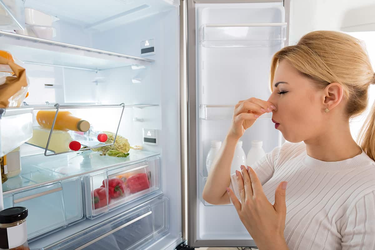 Refrigerator Smells Like Chemicals