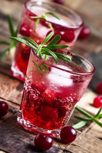 Cranberry Gin and Tonic