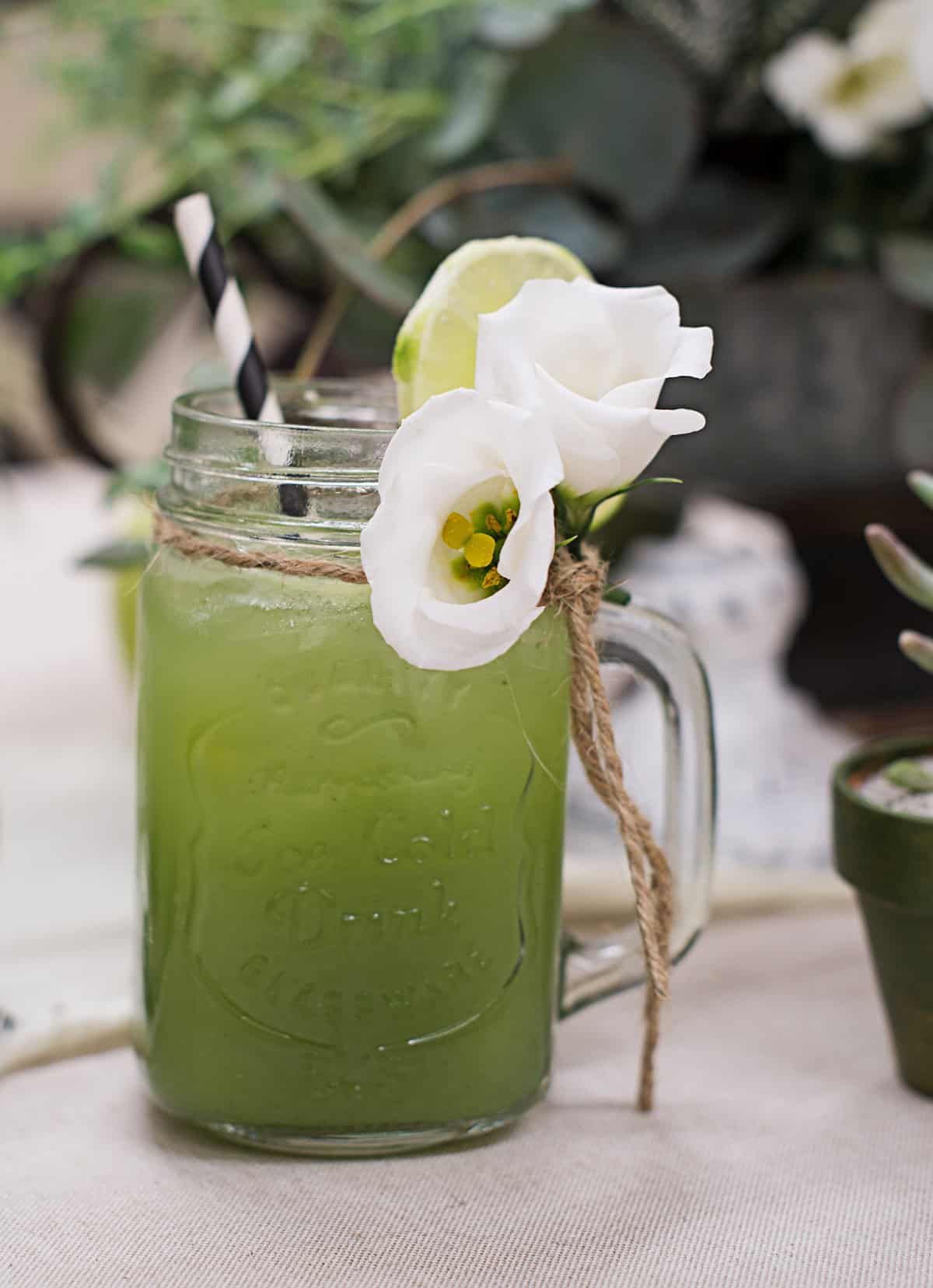 Cucumber Mint Cooler