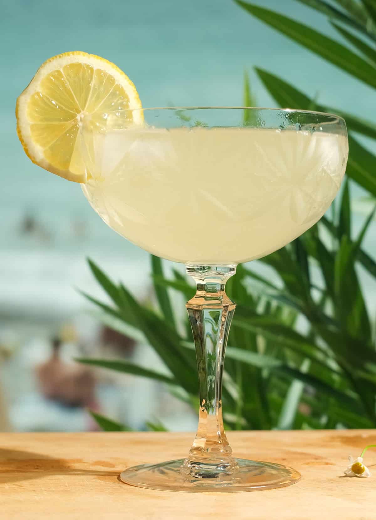 Gimlet Cocktail Recipe - HowdyKitchen