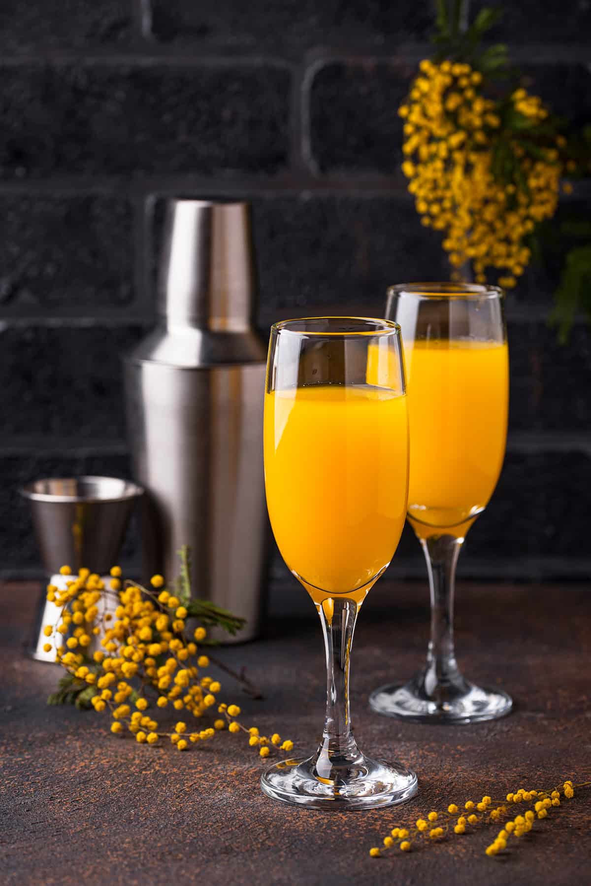 Mimosa