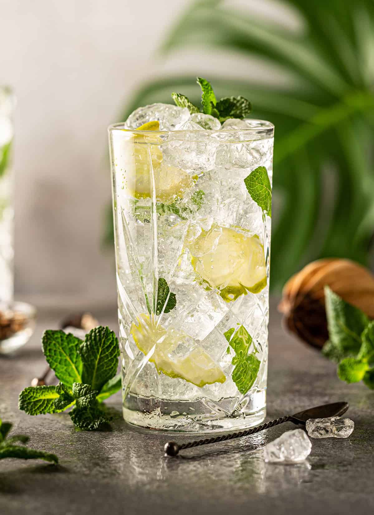 Mojito