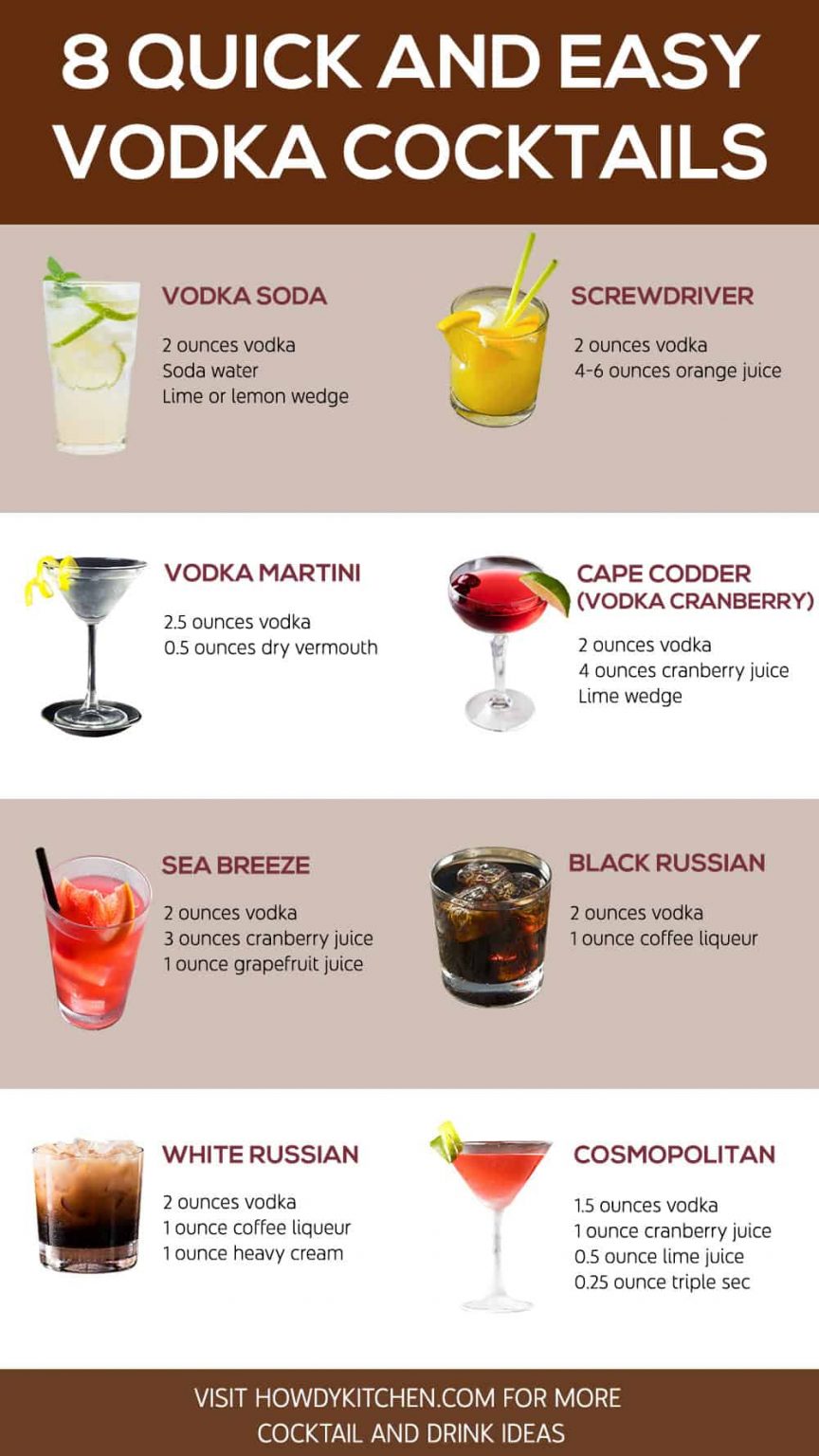 12 Quick and Easy Vodka Cocktails HowdyKitchen