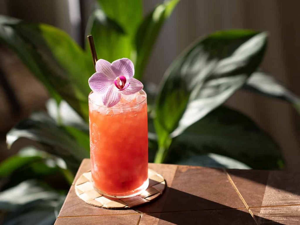 15 Awesome Tropical Rum Cocktails for Instant Island Vibes - HowdyKitchen