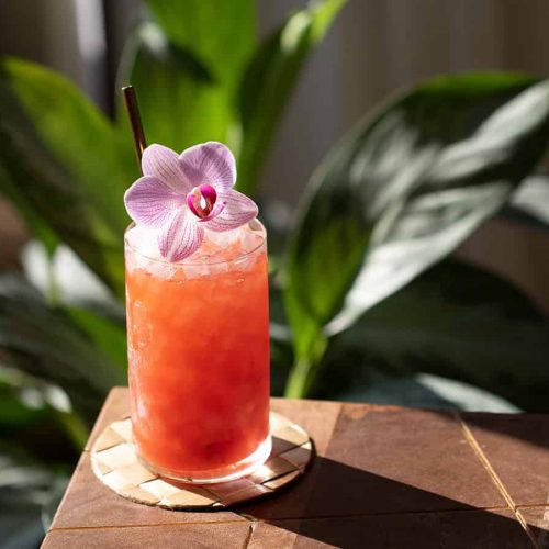 Tropical Rum Cocktails Refreshing Recipes for Summer Enjoyment