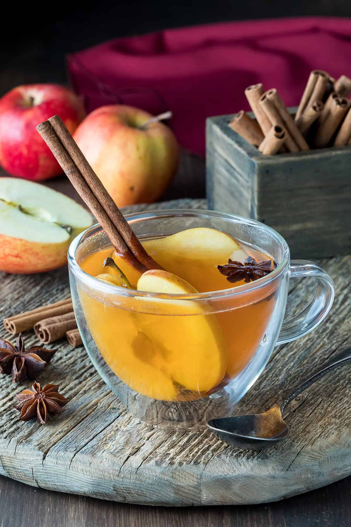 Apple Cider Hot Toddy