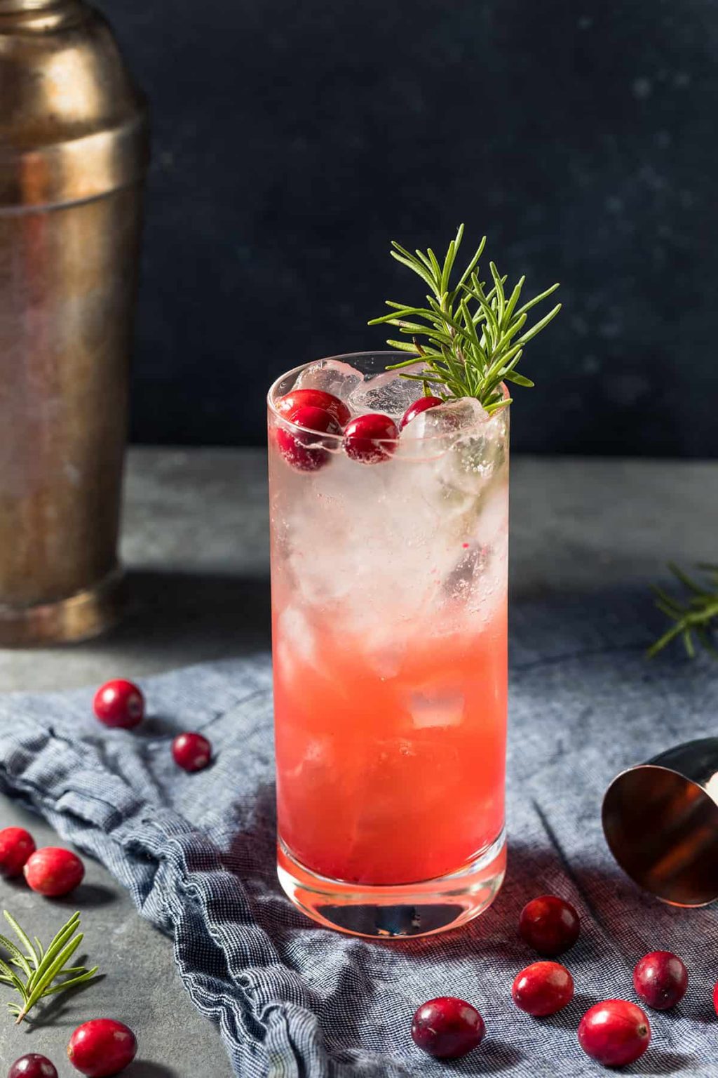 Cranberry Ginger Fizz Mocktail Howdykitchen 6914