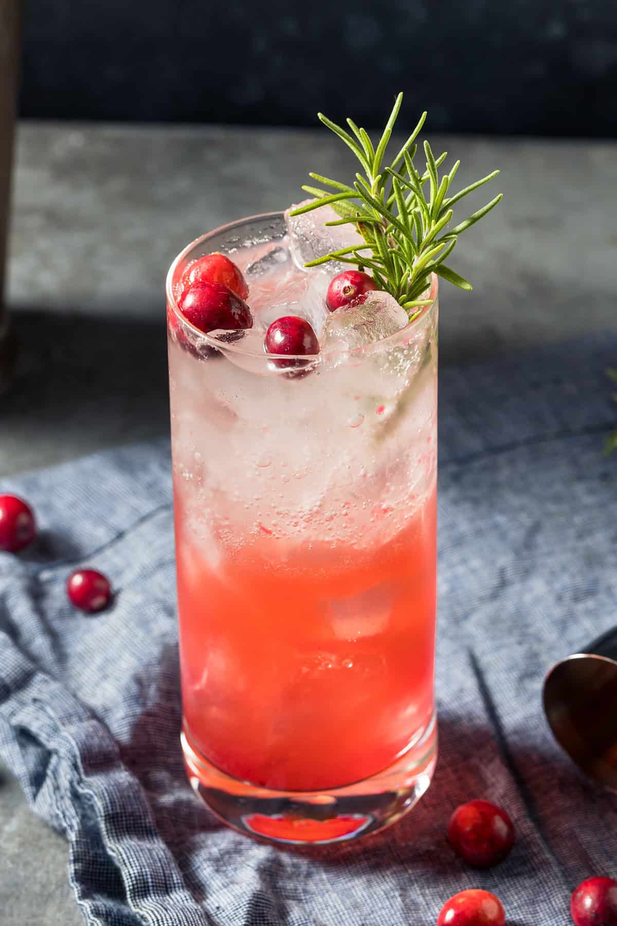 Gin and Cranberry Fizz