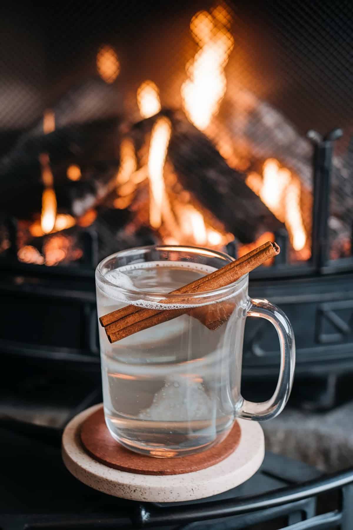 Hot Gin Toddy