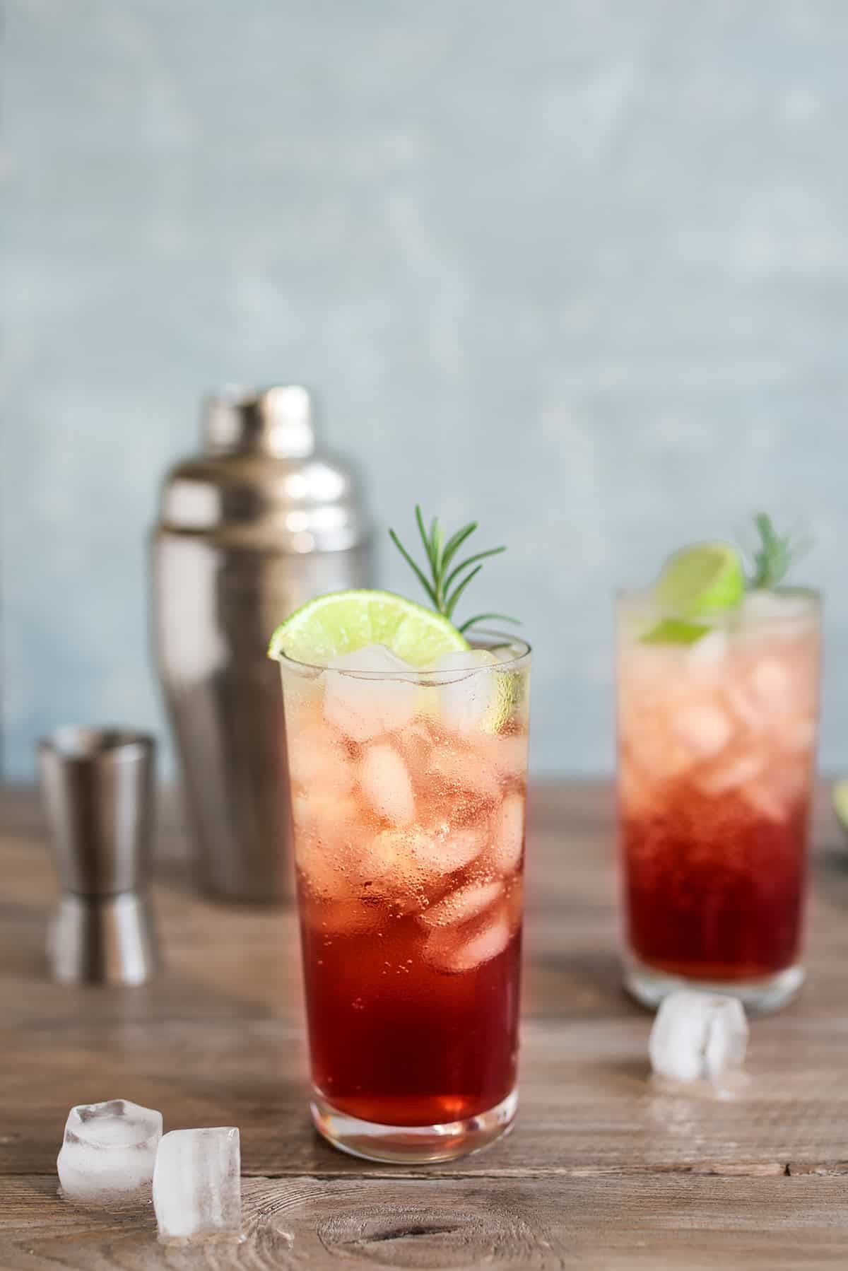 Sloe Gin Fizz