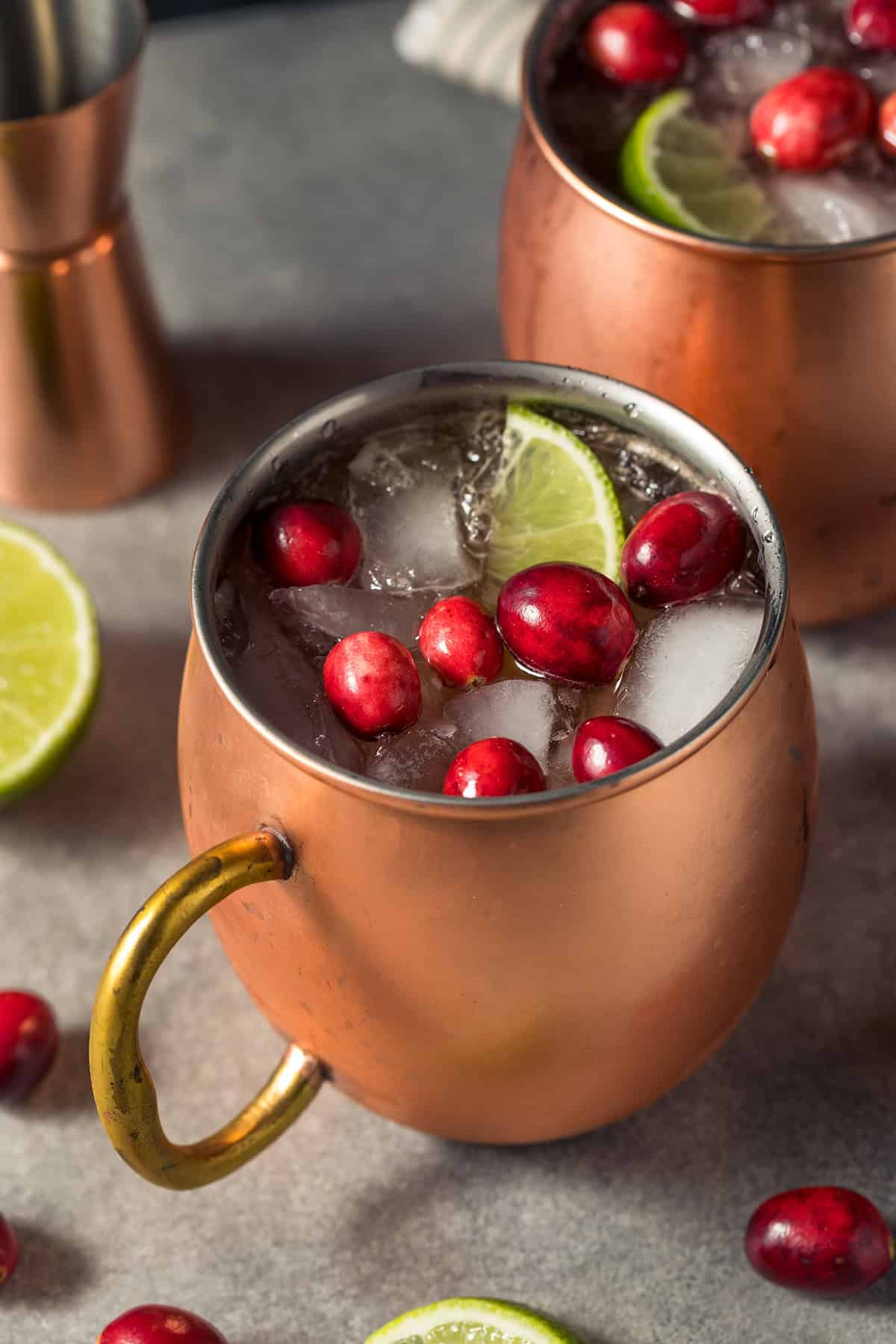 Spiced Cranberry Mule