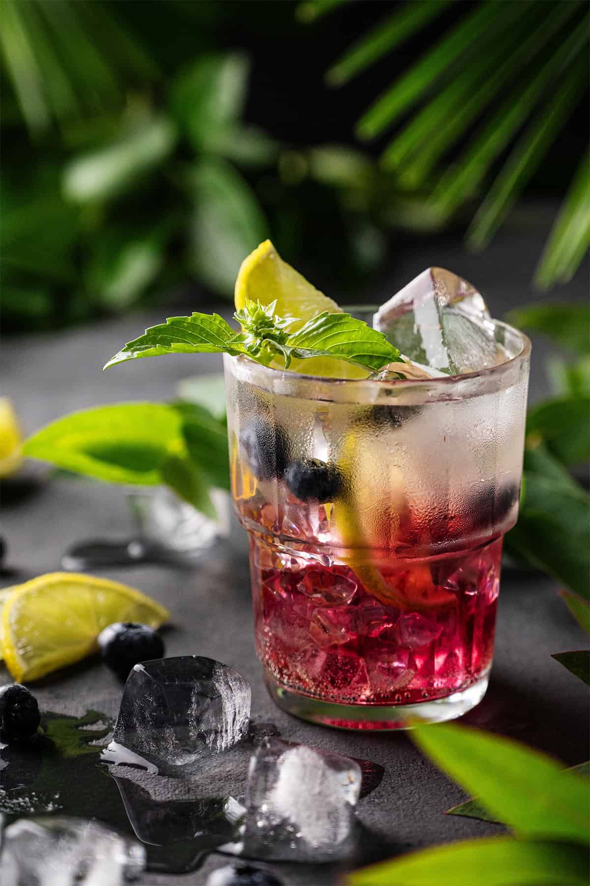 Blueberry Mojito