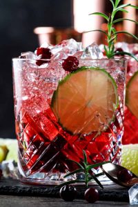 Cranberry Vodka Fizz