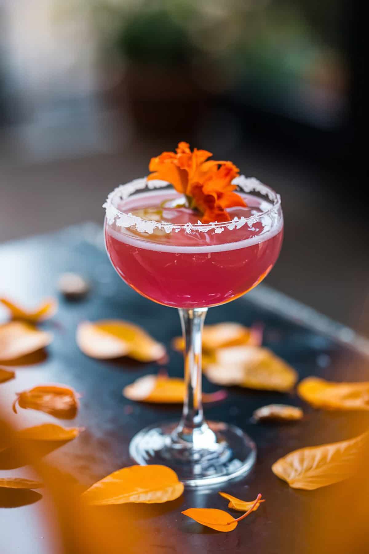 Hibiscus Martini