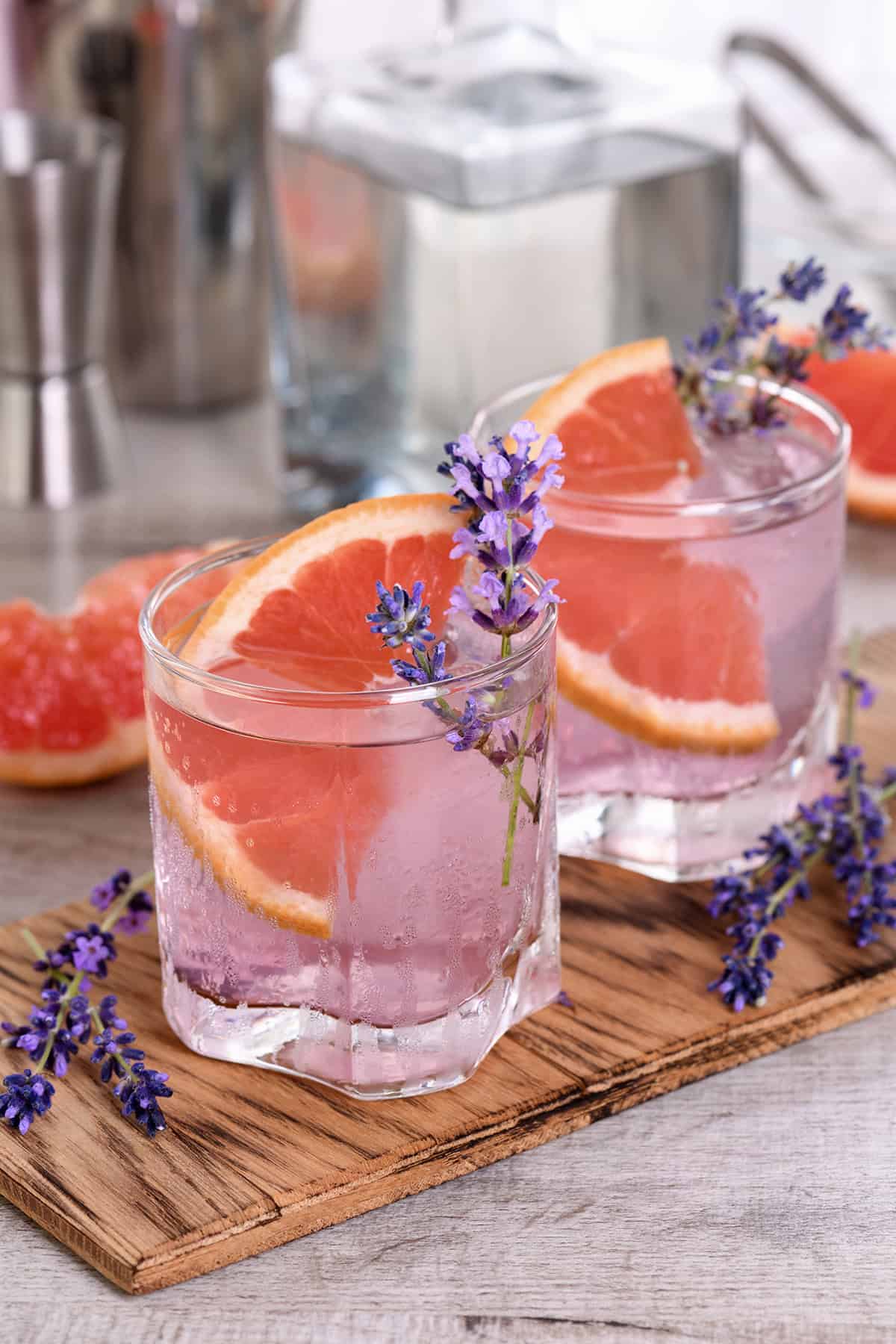 Lavender Paloma