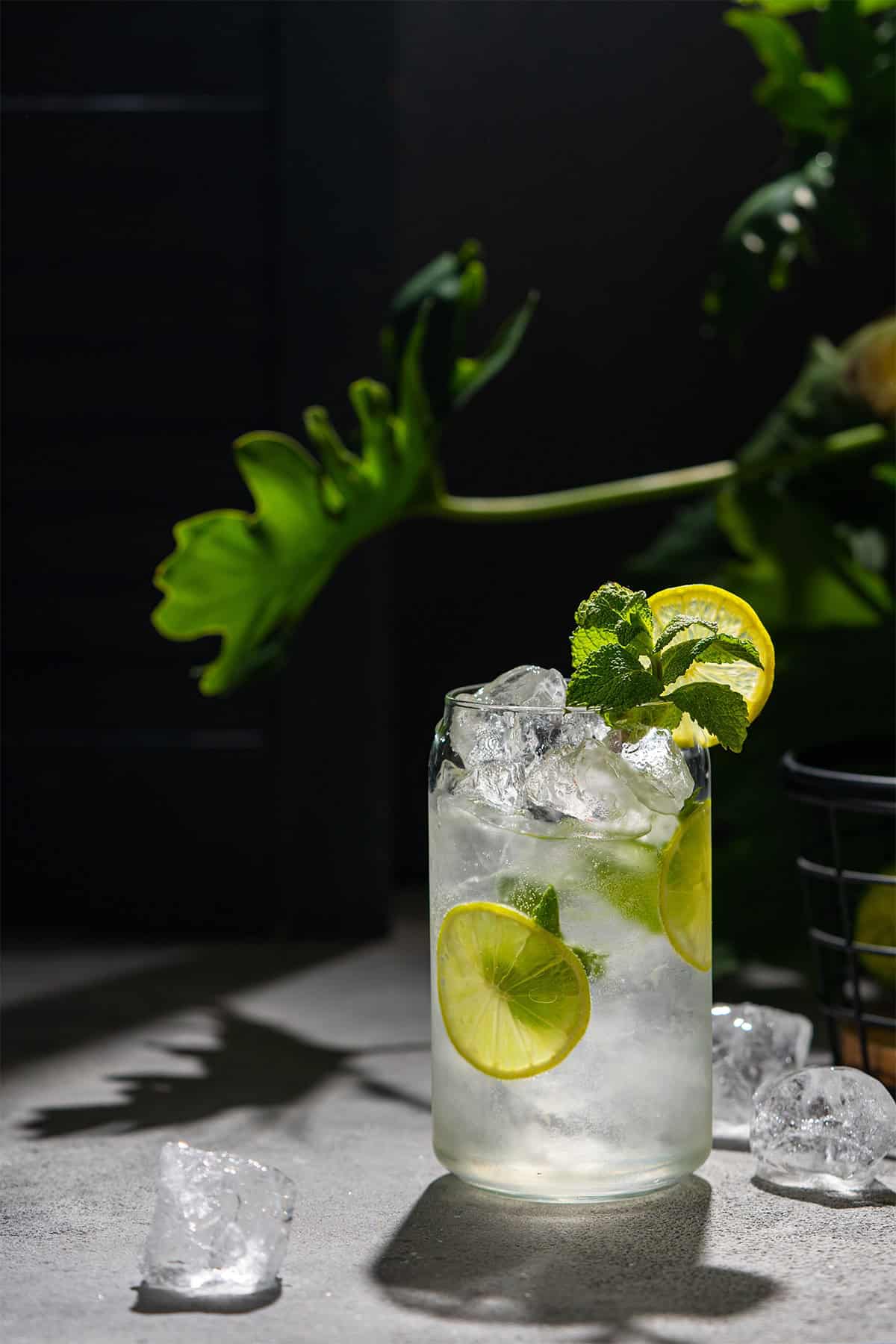 Mojito