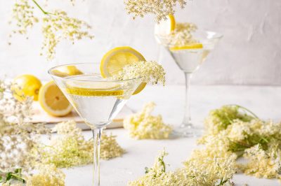 Spring Gin Cocktails