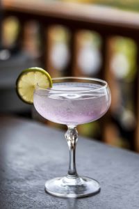 Violet Gimlet